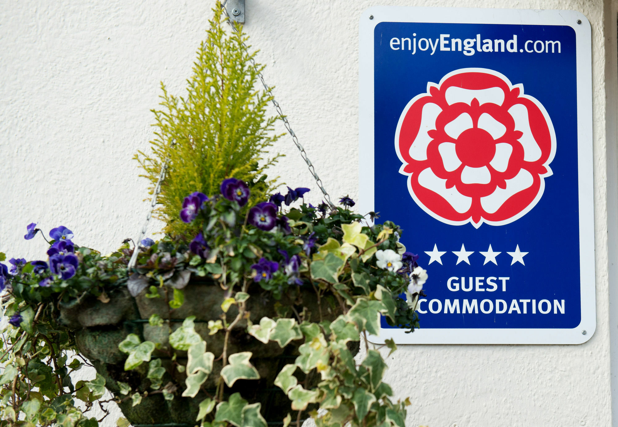 Blue Waters Lodge Paignton Exterior photo